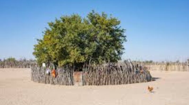 Dikgosi – Seabe sa Kgosi mo merafeng ya Batswana
